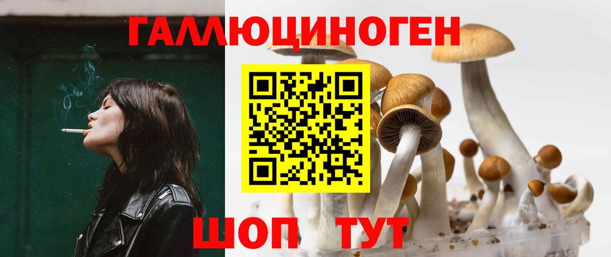 Галлюциногенные грибы Magic Shrooms Барабинск